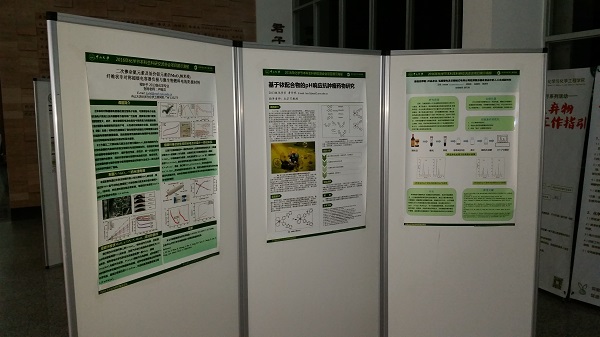 图5 参赛选手海报展示