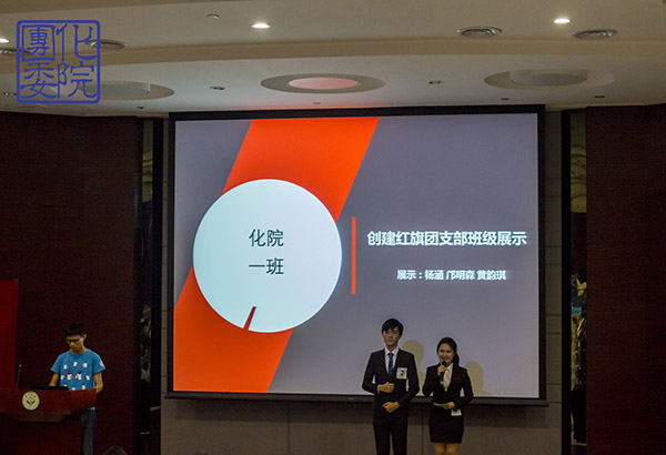 （图3：团支部展示）