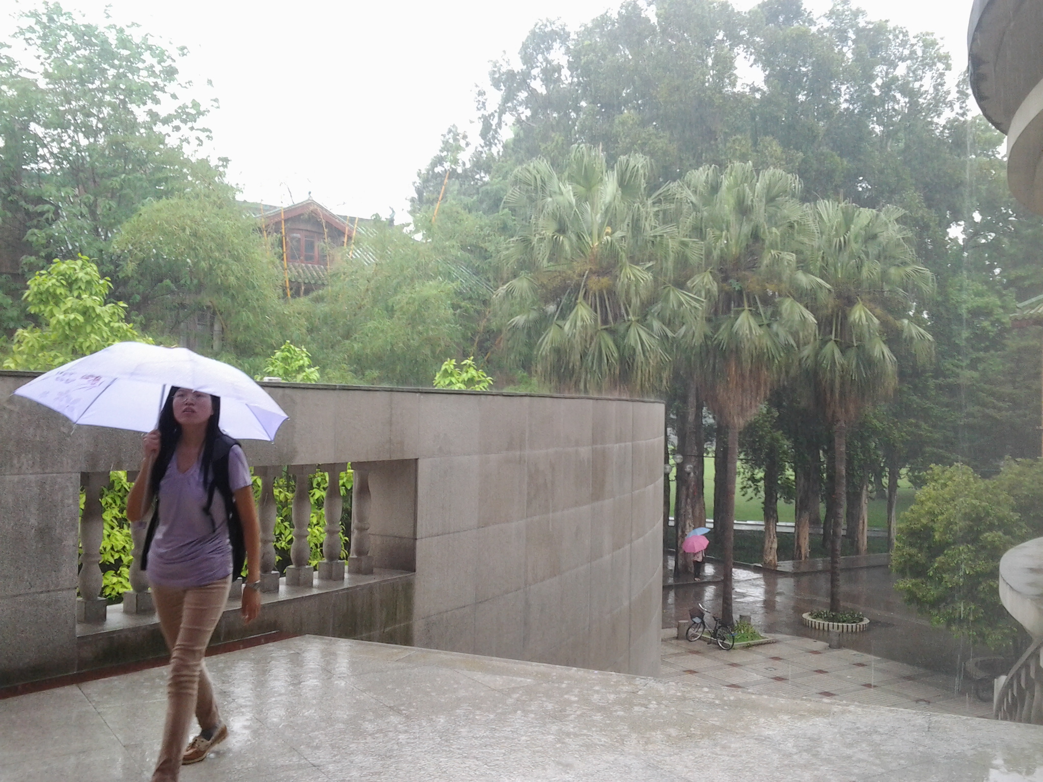 1倾盆暴雨下化院学子按时前往排练厅