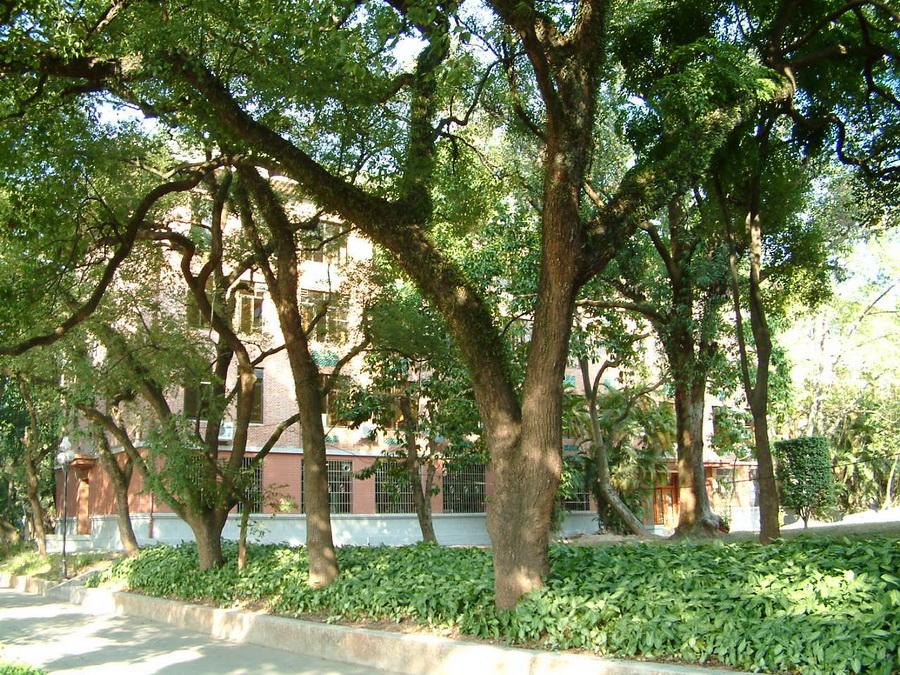 化学北楼 