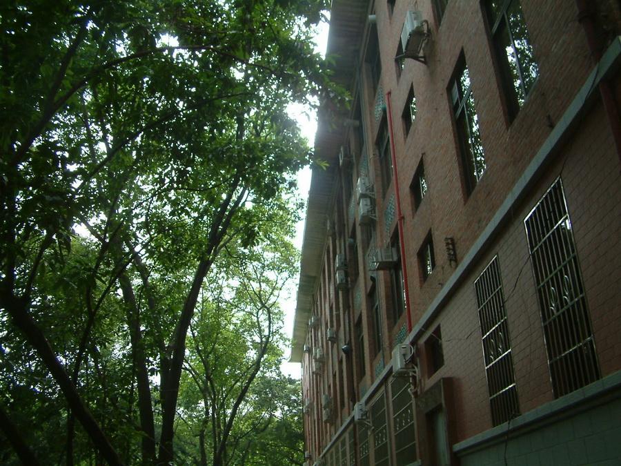 化学北楼 