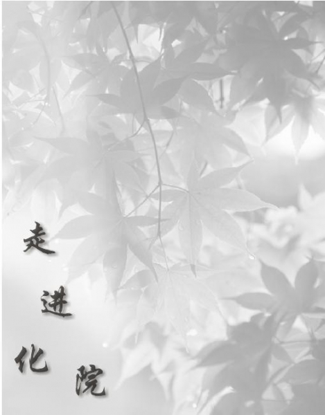 20108117