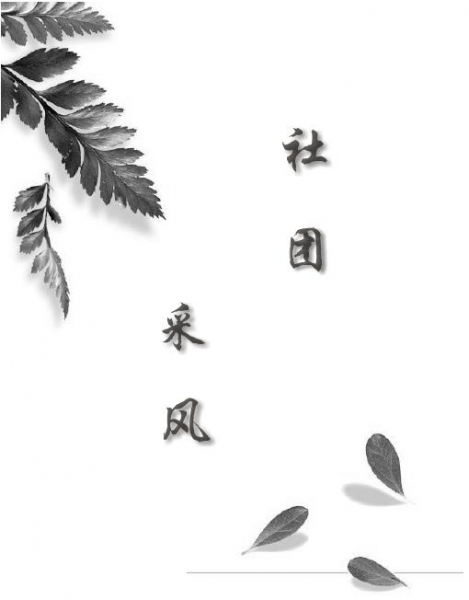 20108131