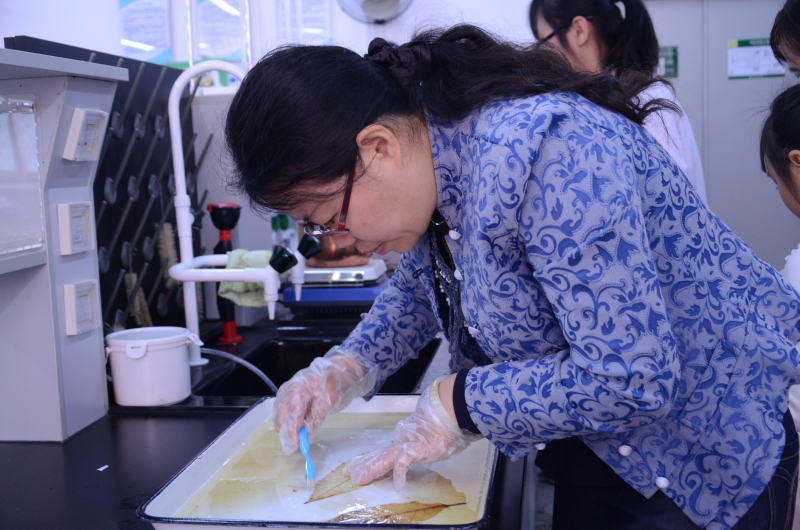 开放实验迎校友,携子共度化学节