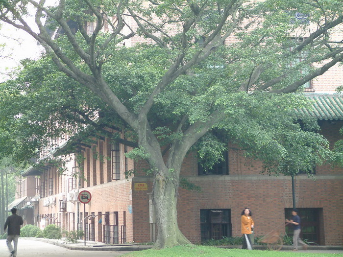 学院建筑
