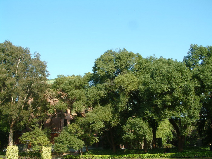 学院建筑