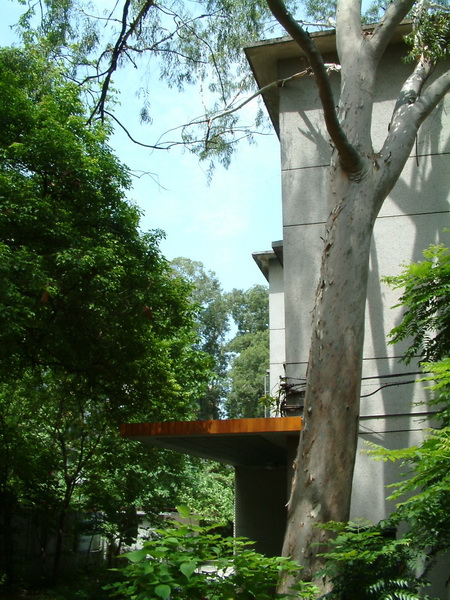 学院建筑