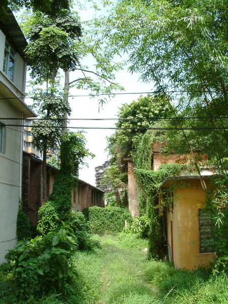 学院建筑