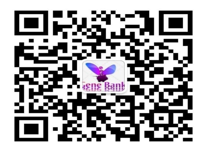 广州东西汇信息科技有限公司 