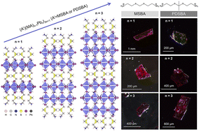 Reduced-dimensional perovskites with dithioketal-containing intercalating cations for near-infrared light-emitting diodes