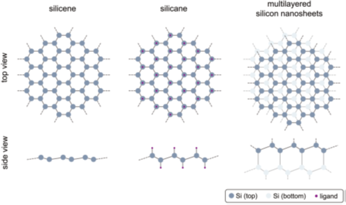 Two-dimensional silicon nanomaterials for optoelectronics