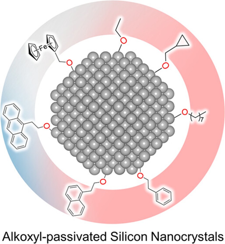 Revisiting the Influence of Surface Alkoxylation on Colloidal Silicon Nanocrystals