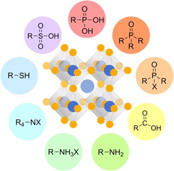Ligand passivation yields long-life perovskite light-emitting diodes