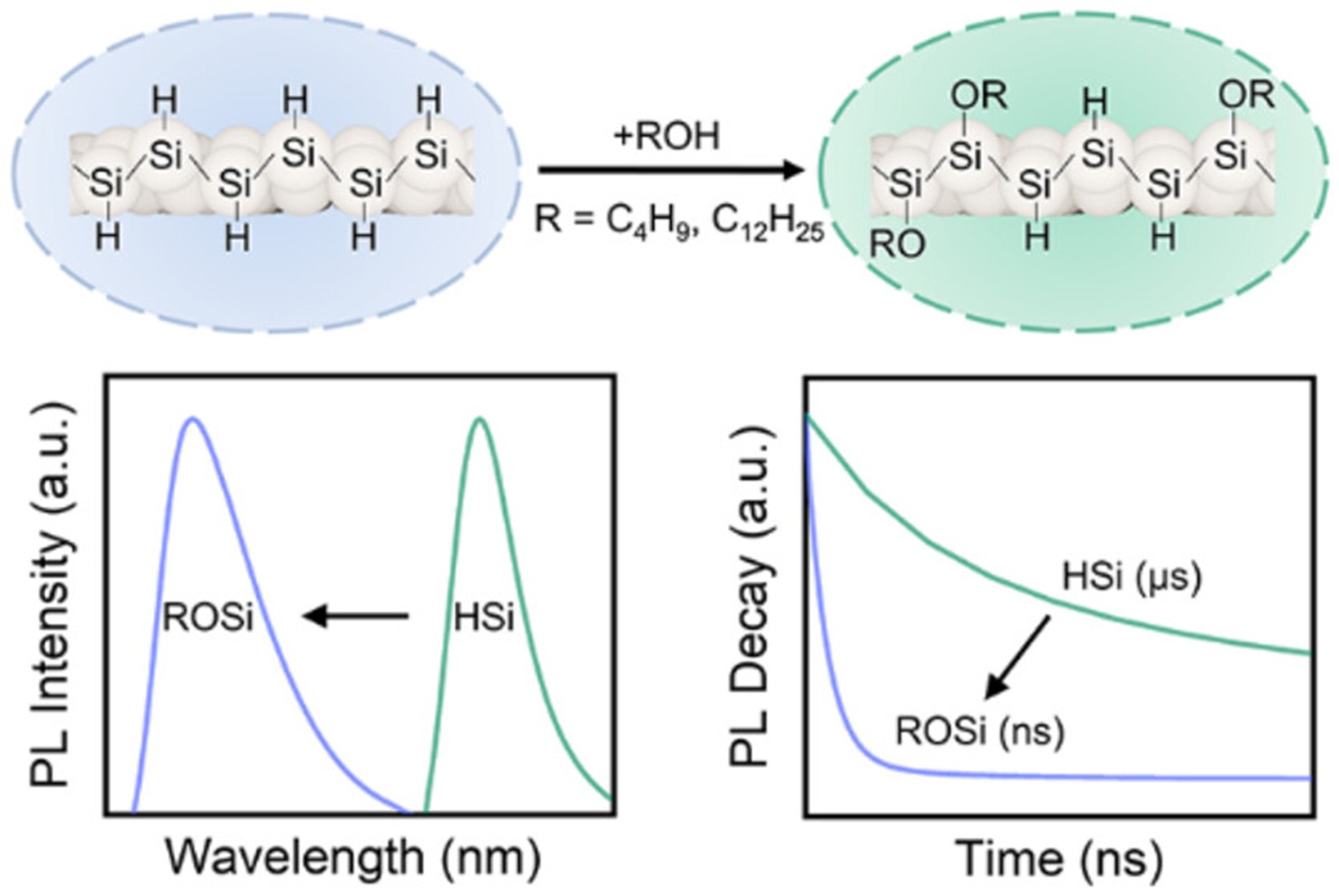Modulating the Surface and Optical Properties of Hydride-Terminated Silicane through Thermal Alkoxylation