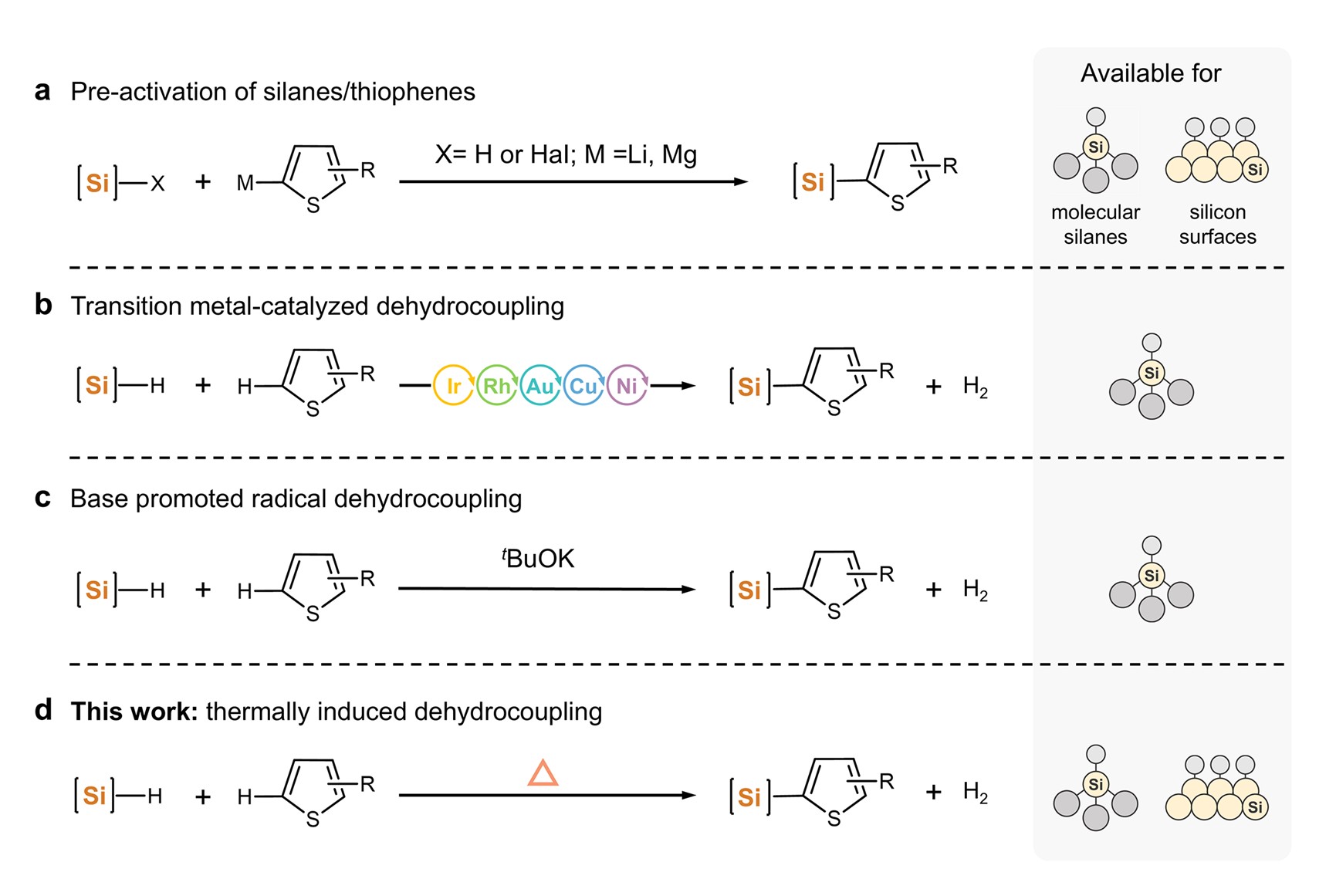 Direct Dehydrocoupling Facilitates Efficient Thiophene Anchoring on Silicon Surfaces
