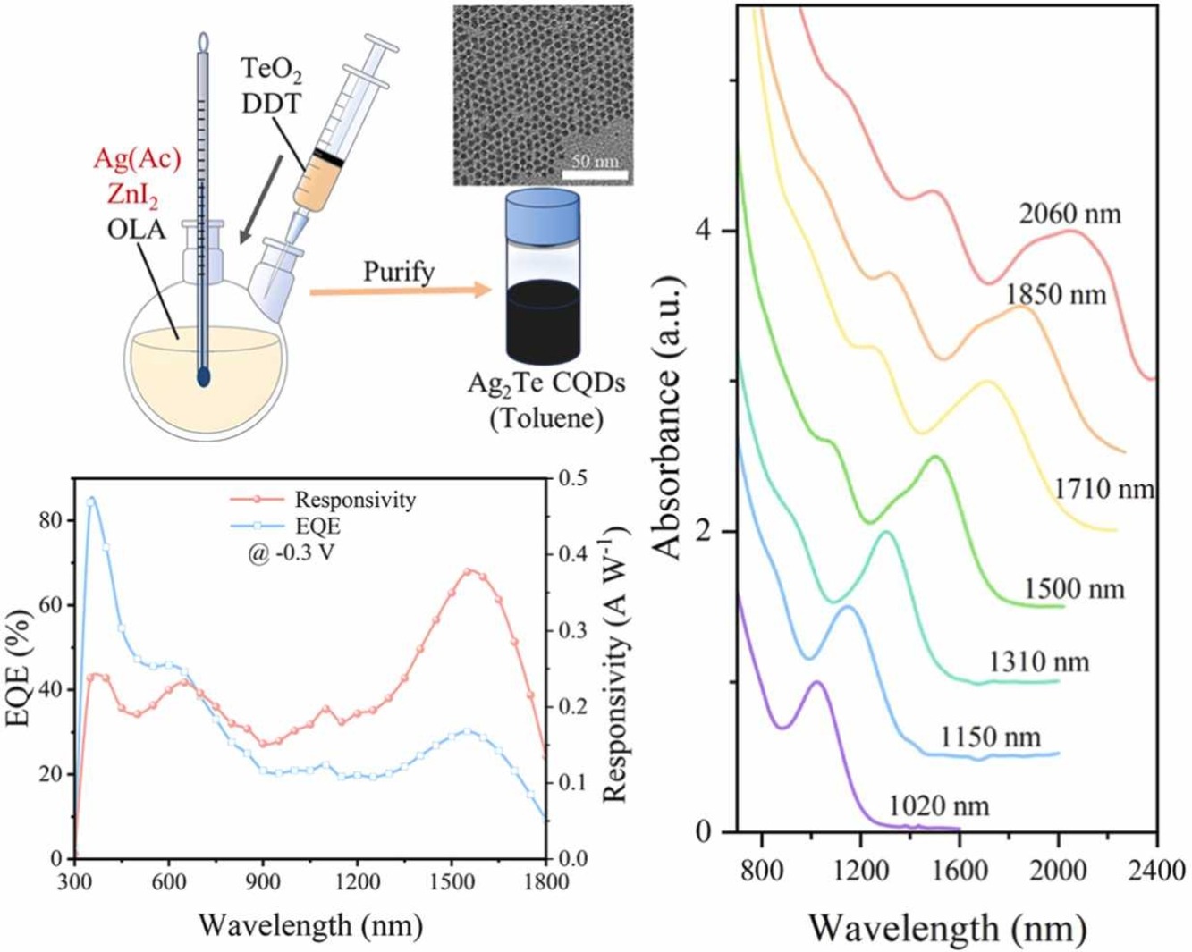 Zinc halide enables highly monodisperse Ag2Te colloidal quantum dots for short-wave infrared photodetectors