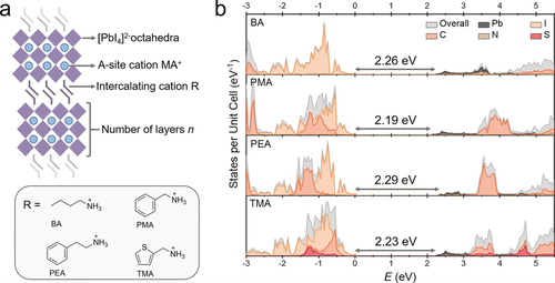 Thiophene Cation Intercalation to Improve Band-Edge Integrity in Reduced-Dimensional Perovskites