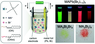 Electrochemical synthesis of colloidal lead- and bismuth-based perovskite nanocrystals