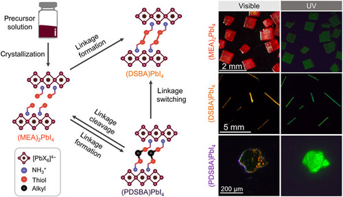 Postsynthetic Crystalline Transformation in Two-Dimensional Perovskites via Organothiol-Based Chemistry